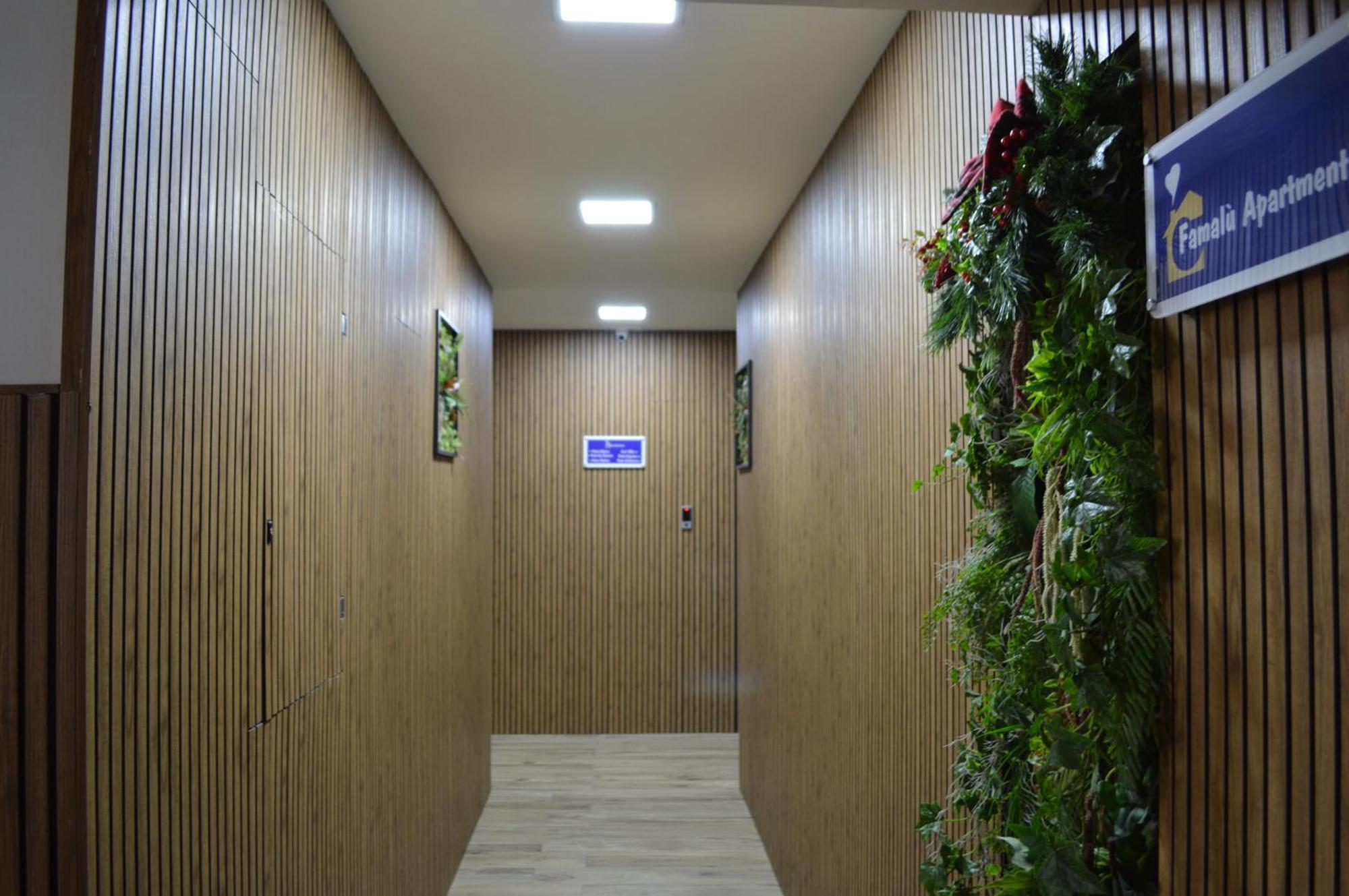 Famalu Apartments 那不勒斯 外观 照片